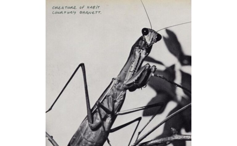 Courtney Barnett lança quarto álbum de estúdio, Creature Of Habit